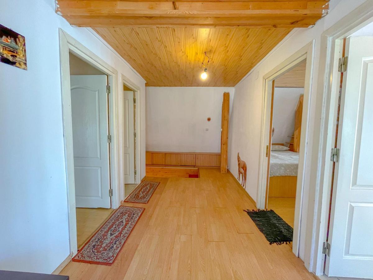 Villa Pinevilla Brasov